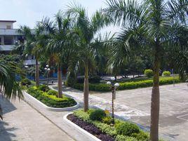 大坡一中 大坡一中