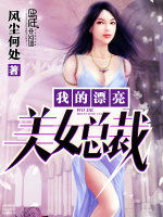 我的漂亮美女總裁