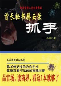 首長秘書騰雲錄:抓手