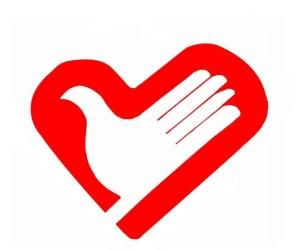 中國青年志願者 中國青年志願者