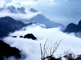 太白山自然環境 太白山自然環境