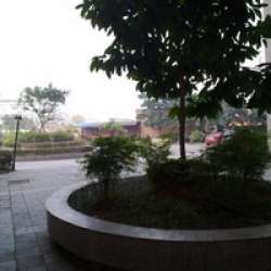 金龍雅苑 金龍雅苑