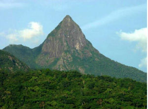 海口火山國家森林公園 海口火山國家森林公園