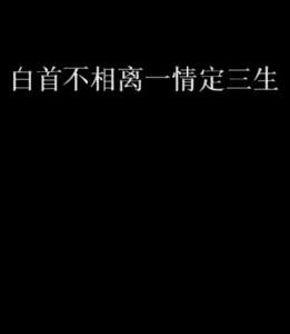 白首不相離一情定三生