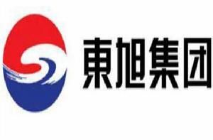 東旭光電科技股份有限公司 東旭光電科技股份有限公司