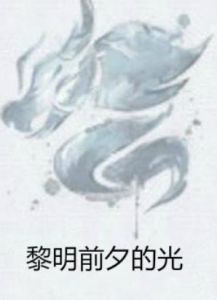 黎明前夕的光 黎明前夕的光
