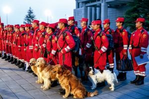 中國國際救援隊 中國國際救援隊