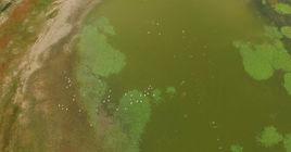 蒙古國草原國家公園 蒙古國草原國家公園