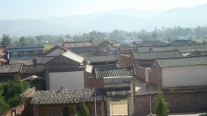 西蓮花村 西蓮花村