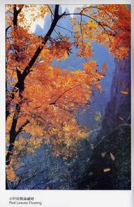 嵖岈山國家森林公園