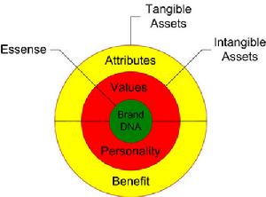 沃爾夫PFA評估模型