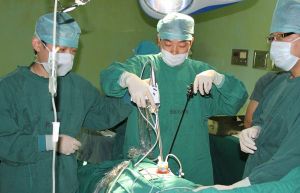 泌尿外科 泌尿外科