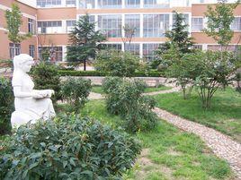 青島市城陽區正陽路國小 青島市城陽區正陽路國小