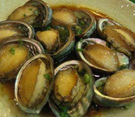 清蒸鮮鮑魚 清蒸鮮鮑魚