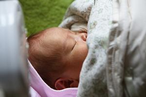 （圖）冬季生育