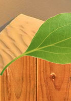 (圖)北京關愛下一代