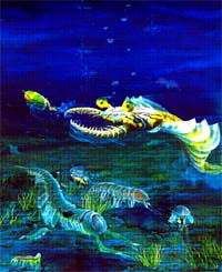 澄江古生物化石群