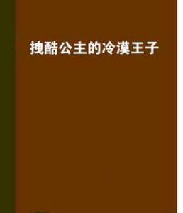 拽酷公主的冷漠王子 拽酷公主的冷漠王子