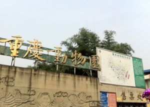 重慶動物園 重慶動物園