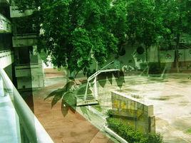 薌城實小 薌城實小