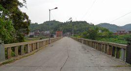 豐聯村[廣東中山市阜沙鎮下轄村]