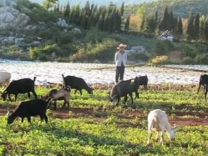 努革訓東村自然村 努革訓東村自然村