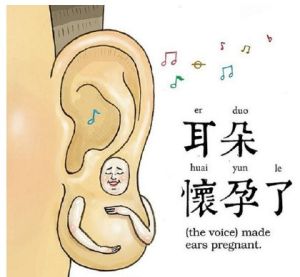 耳朵懷孕了
