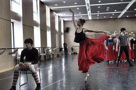 范曉楓[上海芭蕾舞團首席演員范曉楓]