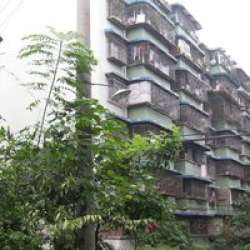 為明路新28號 為明路新28號