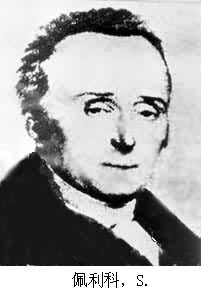 佩利科，S.