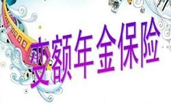 變額年金保險 變額年金保險