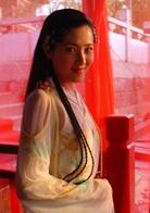 秦淮悲歌[2004年伊能靜主演電視劇]