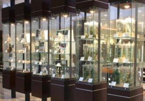 中藥文化博物館 中藥文化博物館