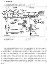 新陳代謝--解析圖