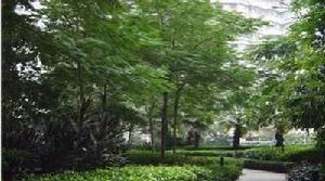 御景華城可園 御景華城可園