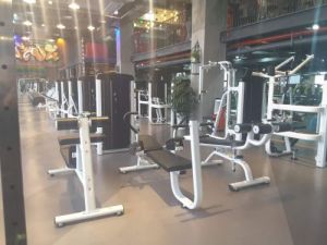 伯林綜合格鬥館 伯林綜合格鬥館