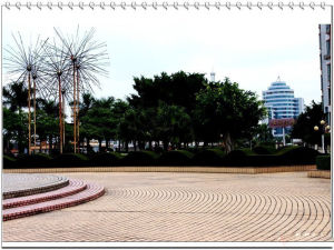 明星公園 明星公園