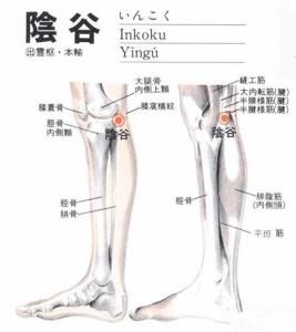 陰谷穴 陰谷穴