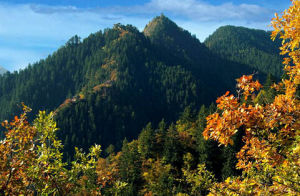 興隆山自然保護區