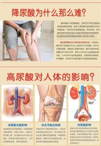 尿酸高 尿酸高