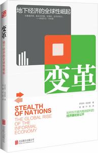 變革：地下經濟的全球性崛起