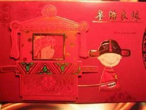 紅色罰款單 紅色罰款單