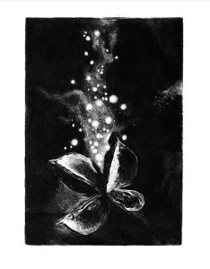 程鵬版畫作品《花非花》