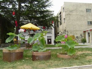 北京成果酒店公寓（雍和宮店）