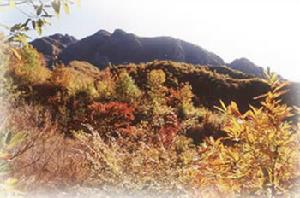 薊縣下營鎮常州村