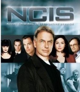 	海軍罪案調查處