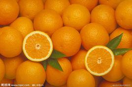 橘[芸香科植物]