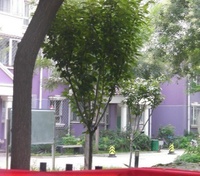 溪山曉城A區 溪山曉城A區