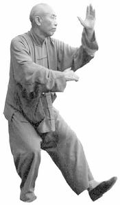 肘底看拳 肘底看拳