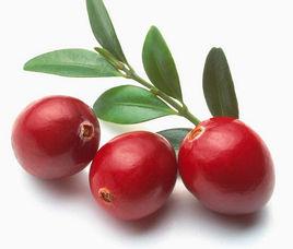 蔓越莓片 蔓越莓片